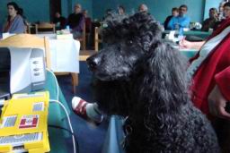 Resize of DSC02243.JPG